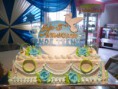 /album/fotogaleria-novedades/p1060227-jpg/